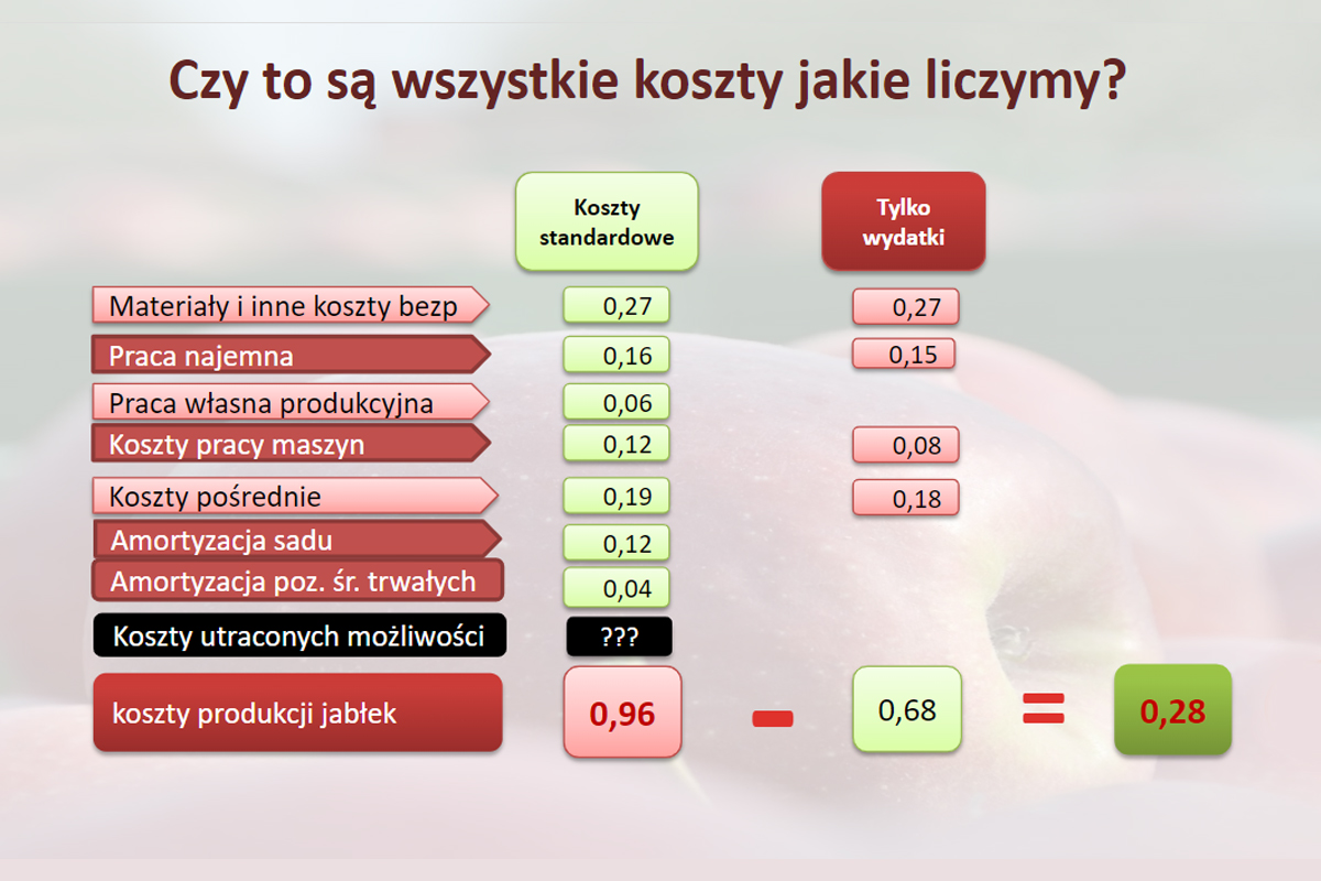 Koszt Wyprodukowania Kilograma Jabłek W 2022 Wzrósł O 23 Sad24pl 3306